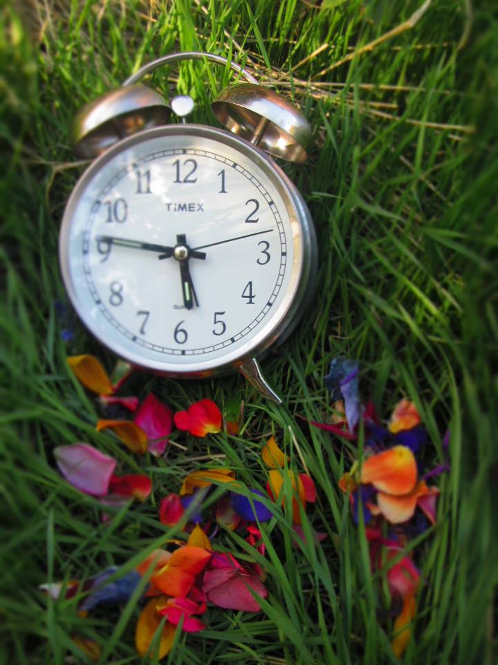 All the Time in the World